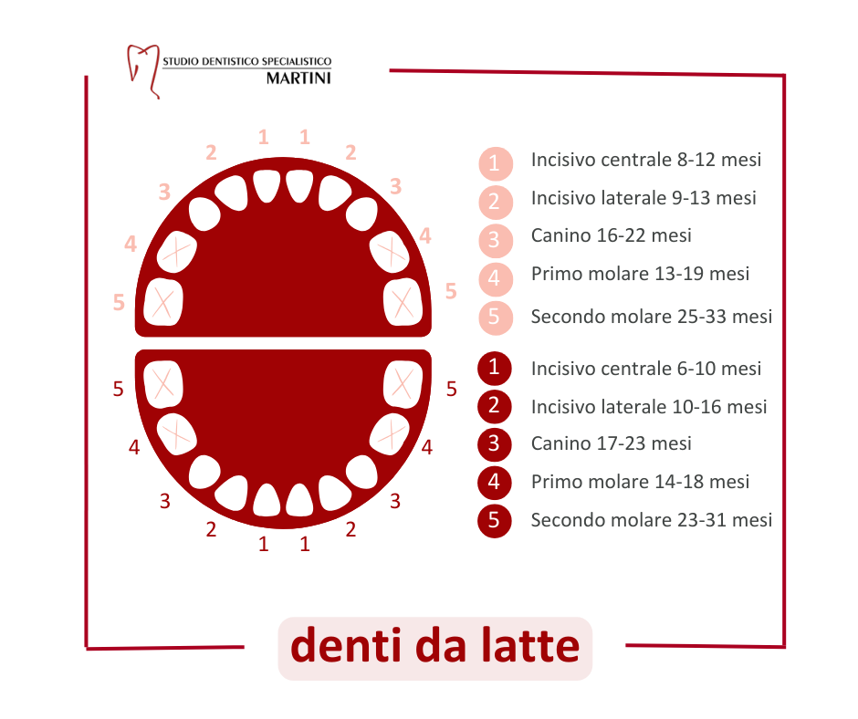 La dentizione del neonato